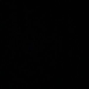 Meet your Posher, Jaylin